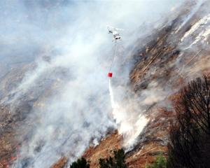 Helicopters fight a forest fire at Mt Allan last December. Photo by Peter McIntosh.