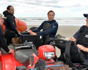 Honorary fisheries officer Tangiwai Rewi checks the size of paua caught by divers at Warrington...