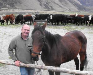 Horse Trekking Company owner David Black with his horse Mojo at the Ben Lomond Station. Mr Black...