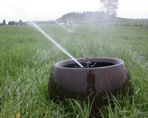 irrigation.jpg