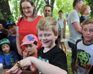 James Hurley holds George the weta at the Otago Museum Bug Fair on Saturday. Photo by Linda...