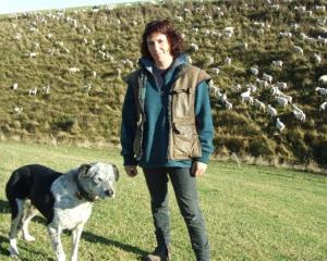 Jan Tairua and Ghost prepare to practise for the national sheep dog trials in Gore next month....