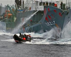 Japanese whaling vessel Yushin Maru No. 2 shoots its water cannons at the Sea Shepherd crew on a...