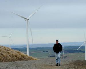 Mahinerangi farmer Richard Reid walks among TrustPower's Mahinerangi wind-farm turbines. Photos...