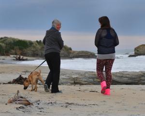 Mother Caroline Hellyer (55) walks a dog with her foster daughter (15) in Brighton. Photo by...