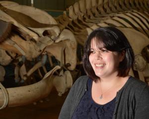 Newly appointed Otago Museum conservation manager Nyssa Mildwaters stands beside a 17m-long fin...