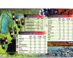NZ wine stats