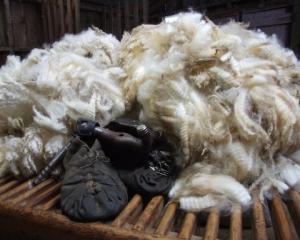 Outsize falls in wool prices contributed to lower terms of trade in March. Photo by Sally Rae.