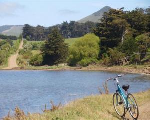 Papanui Inlet offers a comfortable ride for the beginner cyclist. Park the bike and enjoy the...