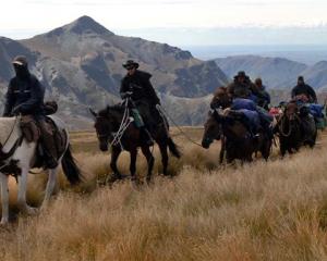 Participants on the Otago Cavalcade pack-horse traverse make their way up Mt Kyeburn in strong...