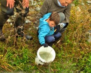 Patricia Baker and her grandson Oliver Lienert (3) liberate the first salmon smolt into the...