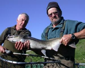 Rex Turpin (left) and Les Crosbie with one of the salmon brought from the Hakataramea River to...
