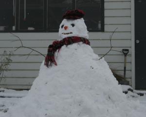 south_wakes_to_snow_4eb436b05a.JPG