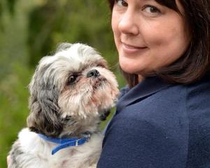 SPCA Otago business development manager Kirsty Thomson holds abandoned purebred shih tzu Ted....