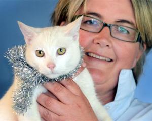 SPCA Otago executive officer Sophie McSkimming with Santa Claws at the Opoho animal shelter, in...