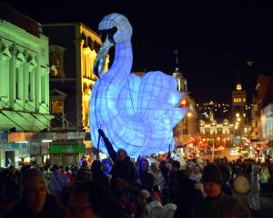 Swan lantern by Ali Bramwell of Otago Polytechnic art school. Photo by Gerard O'Brien.