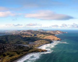 The Department of Conservation and Dunedin City Council are considering if and where they should...