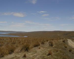 The Lammermoor Range, site of proposed Project Hayes wind farm. Photo by Gregor Richardson.