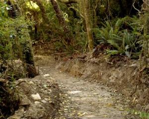 The Otago Natural History Trust is seeking funding from the Otago Regional Council for a new...