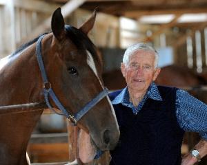 Trainer Brian Anderton, of North Taieri, stands with Blossom Festival, a 4-year-old mare about to...