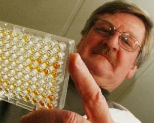 University of Otago researcher Prof Frank Griffin scans the results of a paralisa test which...