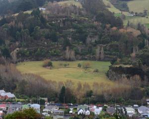 A Christchurch land owner is planning to sell part of the former Palmers Quarry Garden in...