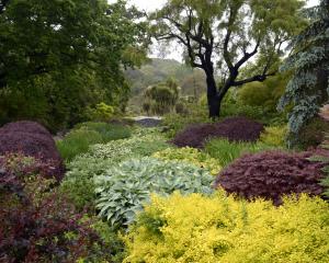 Clive Lister Garden at  Dunedin Botanic Garden. Photo: Gerard O'Brien.