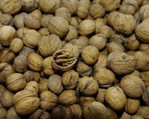 Walnuts contain both omega-3 and omega-6. Photo from ODT files.