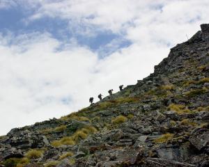 Bernice Lepper competes in the Southern Traverse. Photo: supplied.