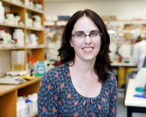 Dr Monica Gerth, of the University of Otago’s Maurice Wilkins Centre for Molecular Biodiscovery,...