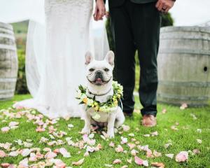 Photo: Alpine Image Company