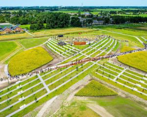 The National Monument for the victims of the Malaysia Airlines crash in Ukraine in 2014 is formed...