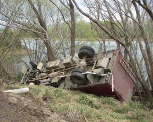Lucky escape ... The driver and 48 bobby calves avoided injury when this stock truck veered off...