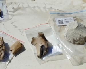 Archaeological discovery ... University of Otago researchers at Eastland Port in Gisborne...