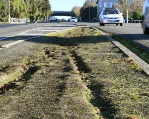 Awaiting vegetation ... The Stuart St median strip is to be beautified again next year. PHOTO:...
