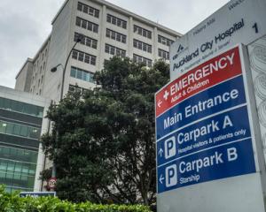 An 11th case of typhoid in Auckland has been confirmed. Photo: NZ Herald
