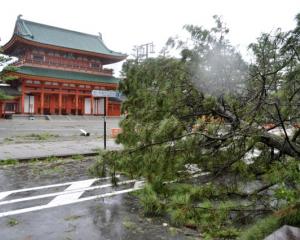 A tree damaged by Typhoon Jebi is seen in front of Heian Shrine in Kyoto. Photo: Reuters