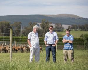 Prof Frank Griffin, Dr Rory O'Brien and Simon Liggett from DRL Ltd. Photo: Supplied