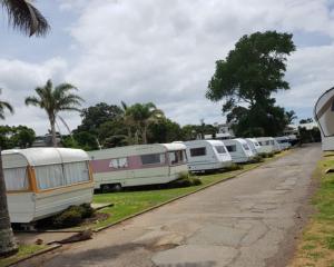 Westland camping grounds say they're struggling due to new designated freedom camping areas....