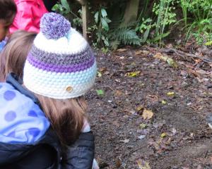 Children watch with fascination as a robin hops around looking for food, oblivious to the crowds...