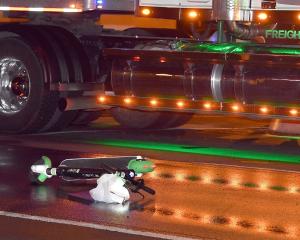 The Lime scooter Renee Whitehouse crashed on, and which the company has now charged her $100 for...
