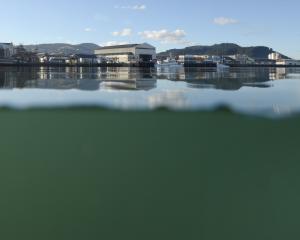 Steamer Basin. Photo: Gerard O'Brien 