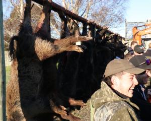 The results of the Catlins Boar Hunt at the weekend. PHOTO: JACK CONROY