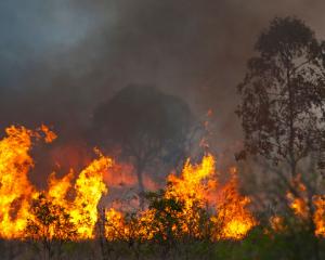 Over 50 bushfires are burning across the state of Queensland, prompting hundreds to evacuate...