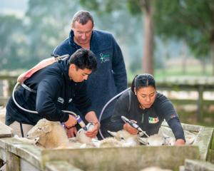 Students Redginald Reihana and Mihiora Waipouri drenching under the guidence of tutor Allan Roxbuugh