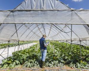 Production and consumption both have lessons to teach us about the future of food. PHOTO: GETTY...