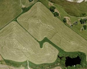 Reducing the footprint of food production is not all about what happens on the farm. PHOTO:...