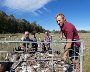 The Bunny Buster team (from left) John Dooley, Callum Young, Greg Lowen and Joseph Walshe unload...