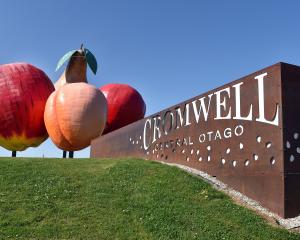 The ‘‘big fruit’’ fronting the Cromwell town centre was completed in 1990 to put the town on the...