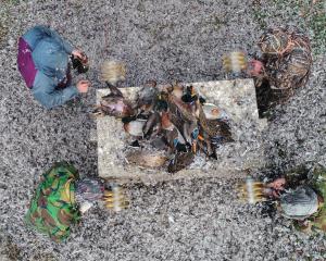 Duck-shooters (clockwise from top left) Ross (Norm) Stanley, Ken Telford, Jono Young and Ian Cole...
